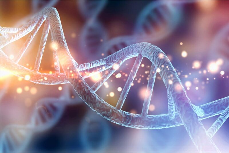 DNA Sequence