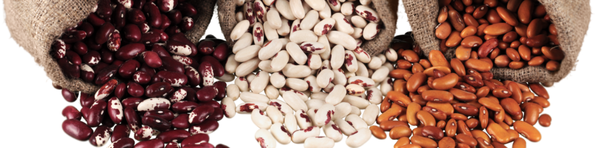kidney beans causing you to be sick due to the lectin 
